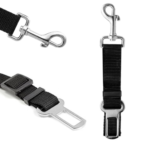 Laisse courte ceinture de sécurité pour chien