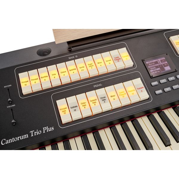 Viscount Cantorum Trio Plus
