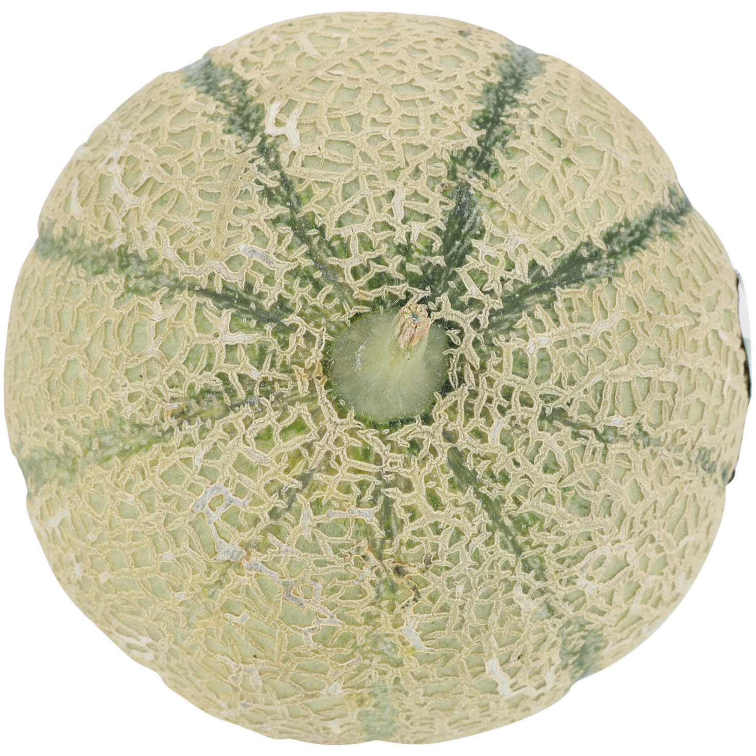 Naturaplan Bio Netzmelone 1 Stück -