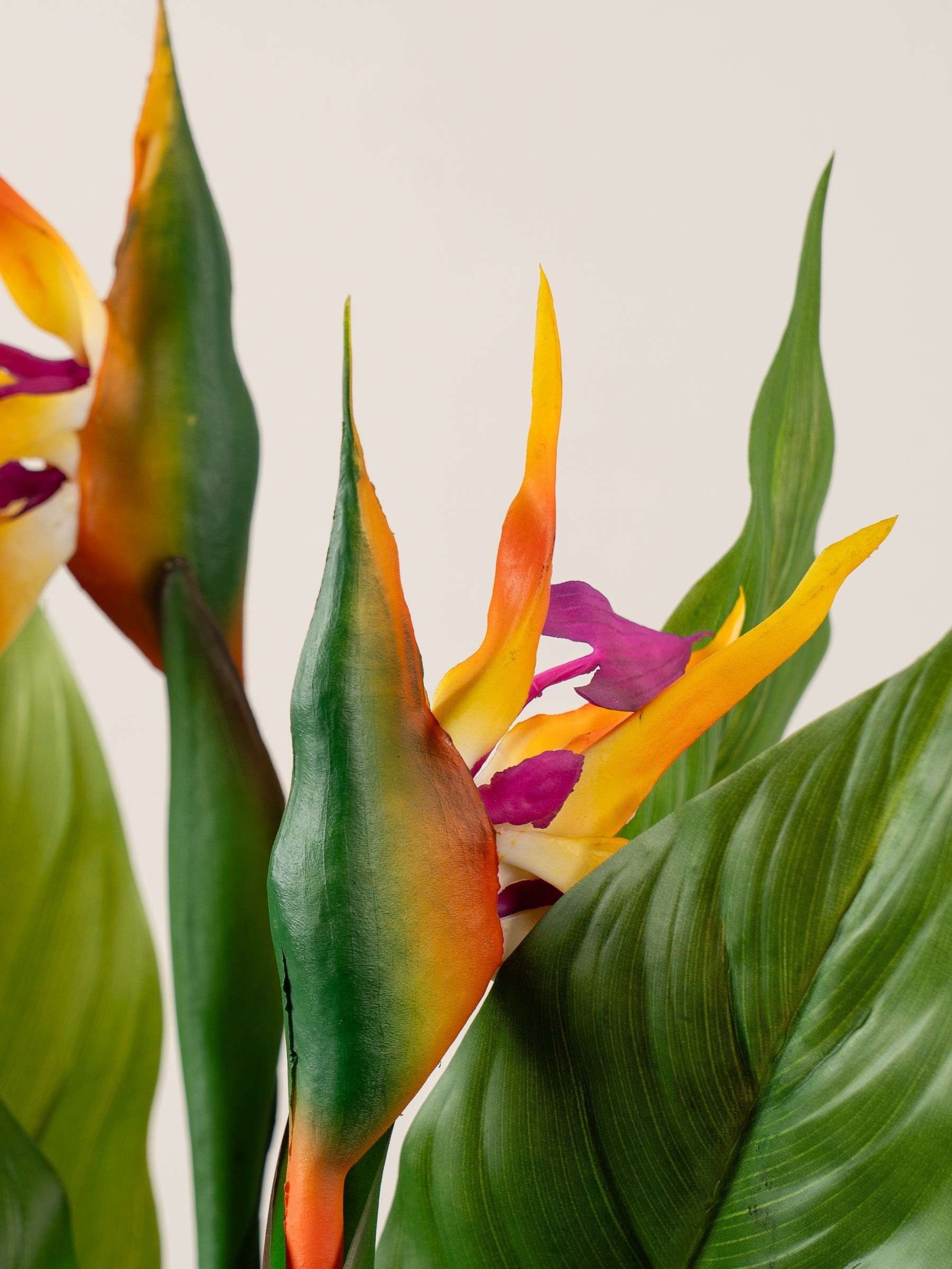 Scottish Everlastings Ltd Artificial Bird of Paradise Tree with Flower
