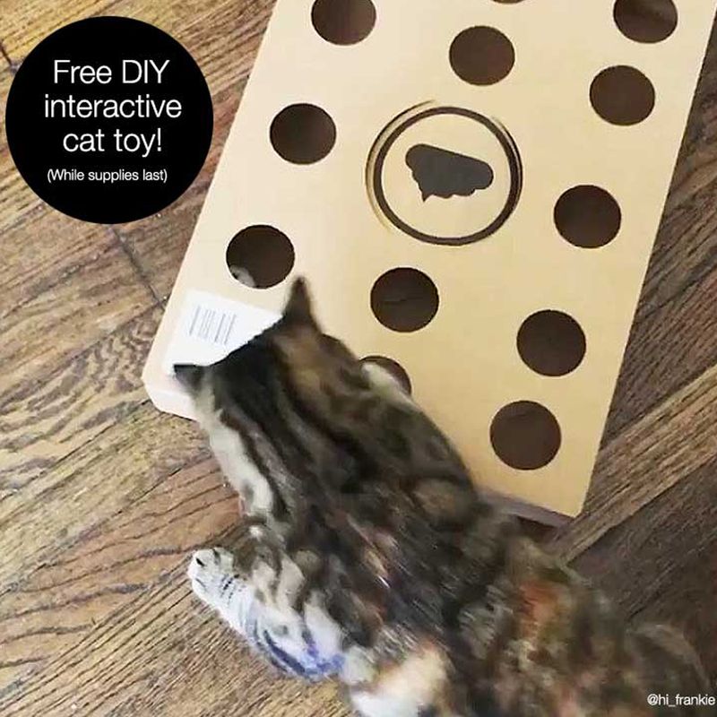 Maison de toilette Modkat Tray