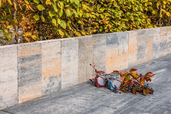 Diephaus Palisade Via