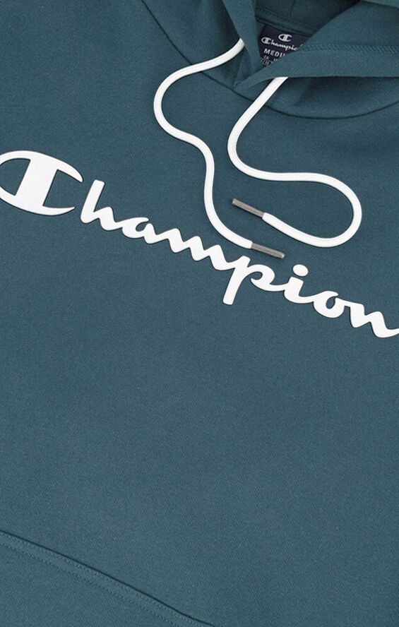 Champion Script Logo Fleece hættetrøje Grøn
