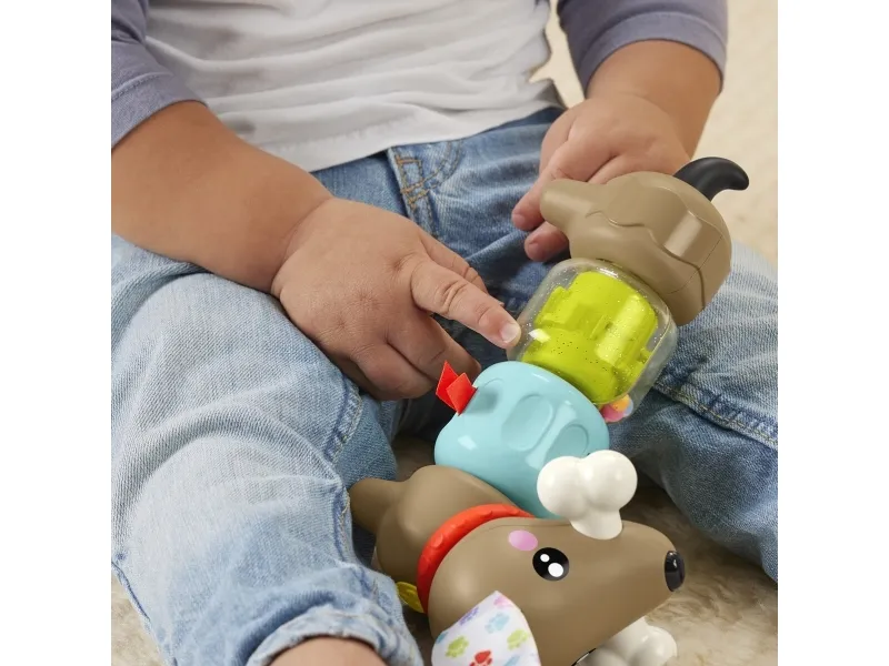 Fisher Price Click & Spin Activity Pup CDU