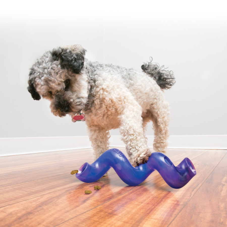 Suporte para petiscos Kong Treat Spiral Stick para cães