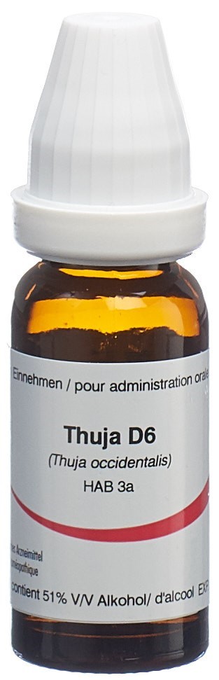 Omida Thuja Glob 6 D 14 g