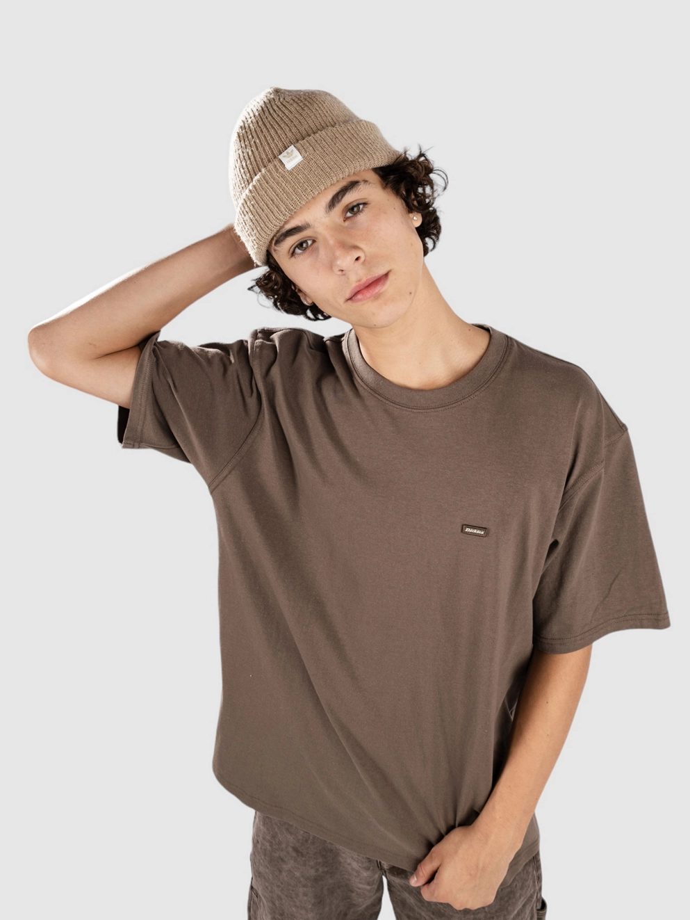 Dickies Clancy Heavyweight T-Shirt mushroom