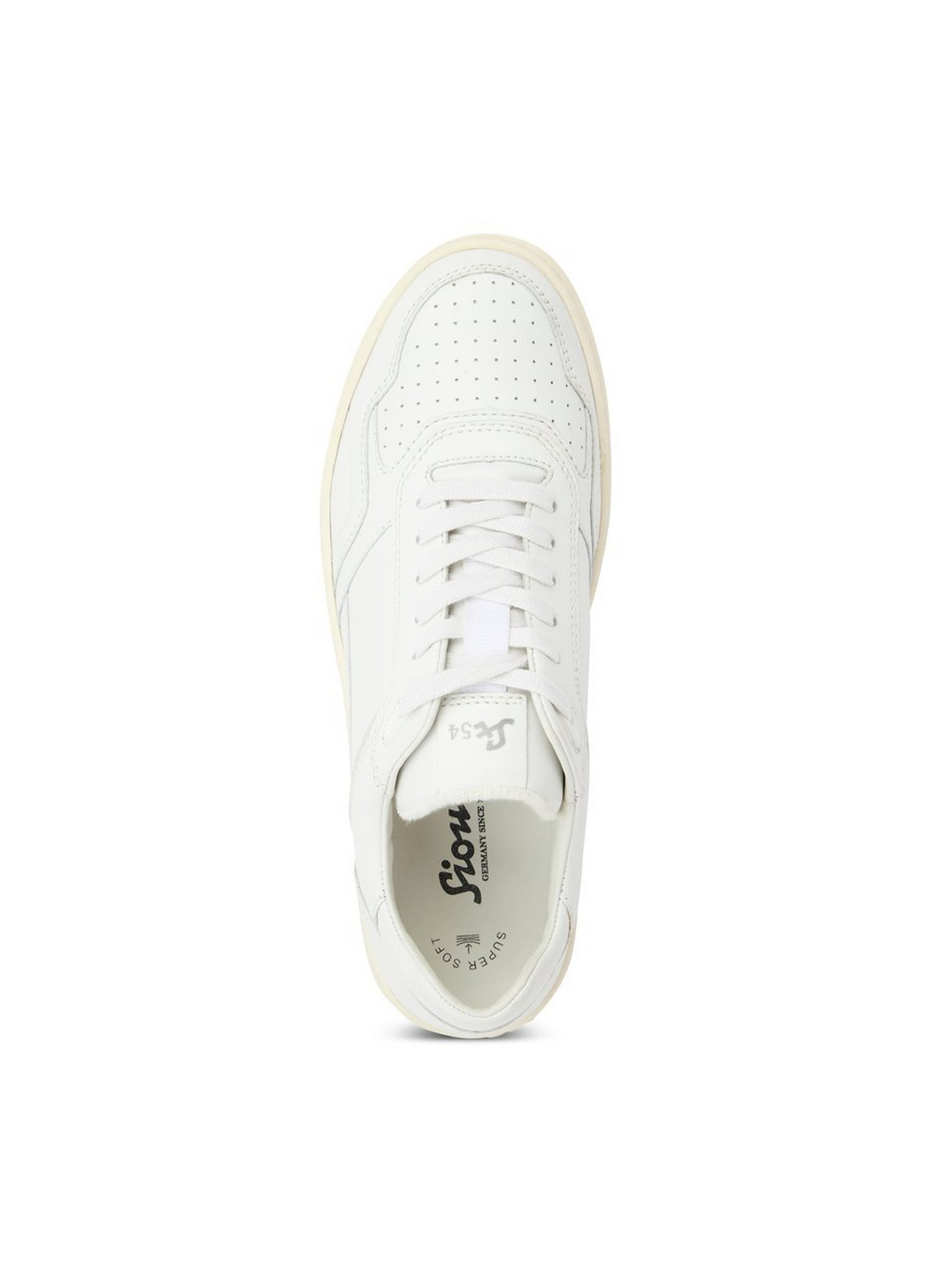 Sneaker Tedroso 704