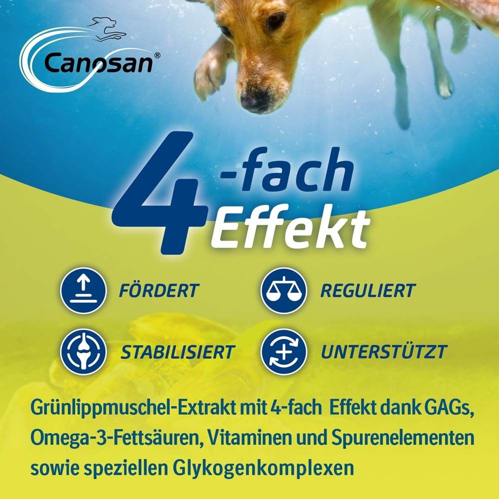 Canosan® Kautabletten für Gelenkgesundheit bei Hunden mit Grünlippmuschel-Extrakt Gonex®