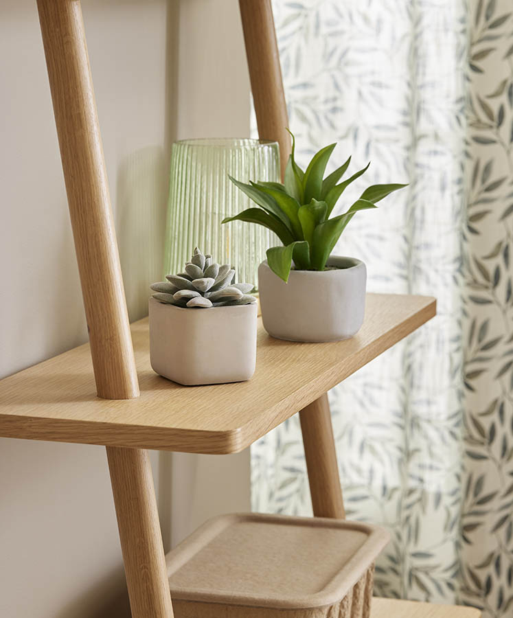 Agave grønn plante i sementpotte 20 cm