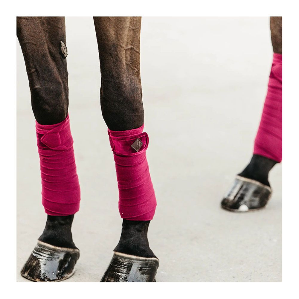 Kentucky VELVET - Bandes de polo x4 fuchsia