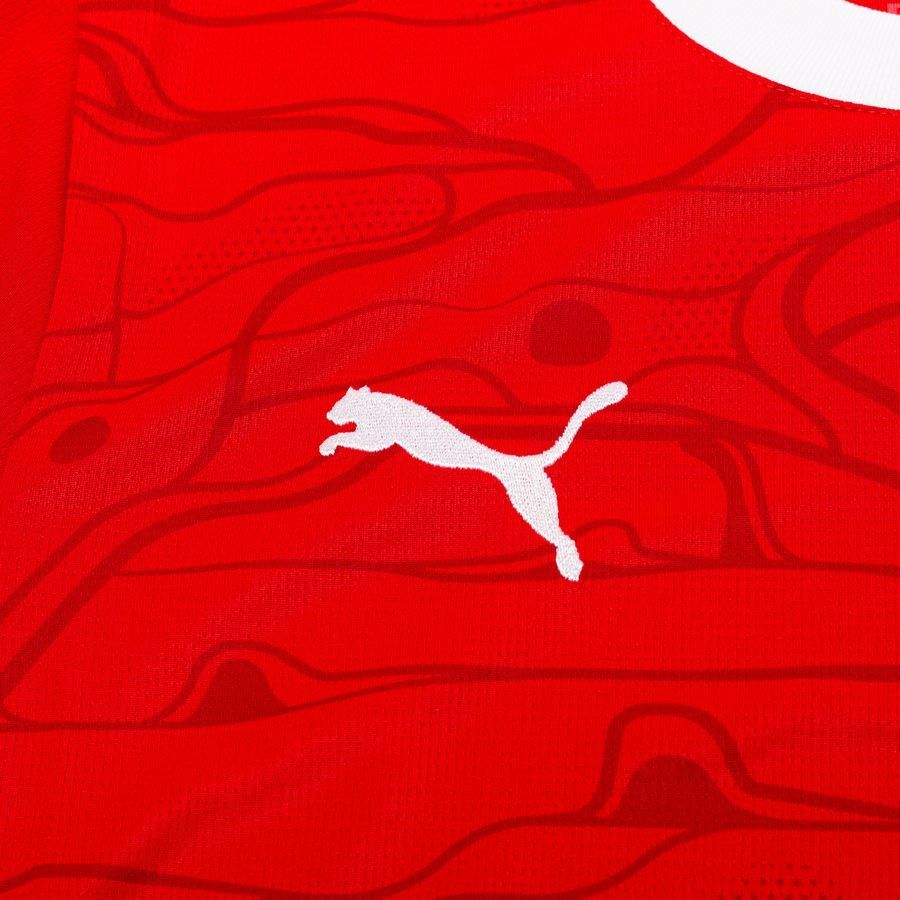 Autriche Maillot Domicile 2024/25