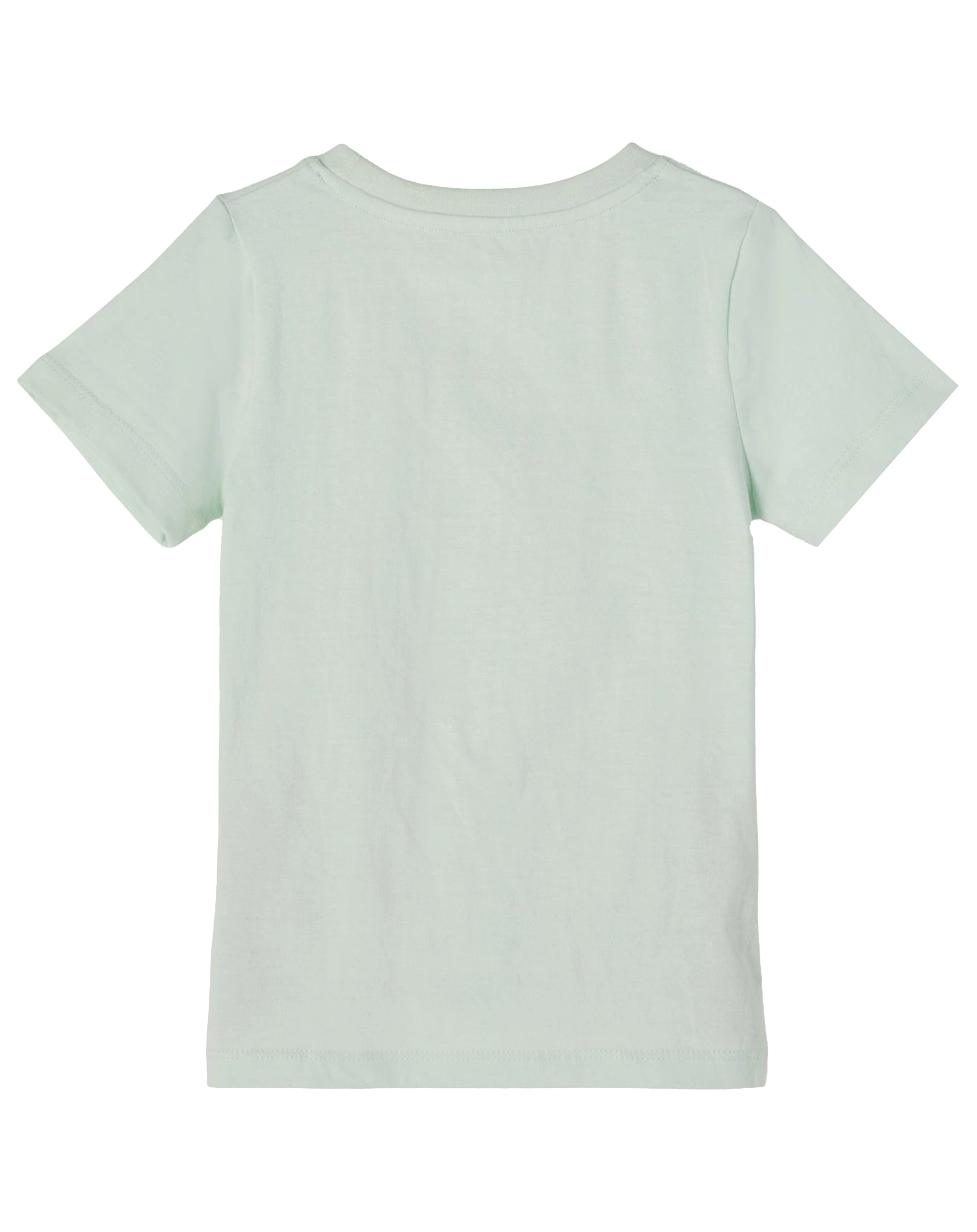 T-Shirt NMFFLORENCE SPRING in glacier