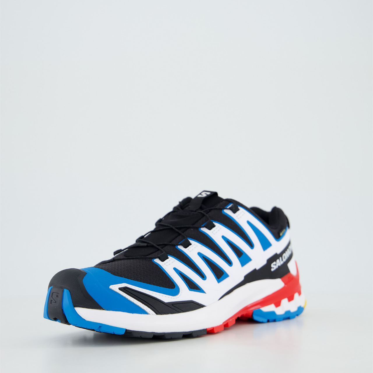 Salomon Schuhe XA PRO 3D V9 GTX