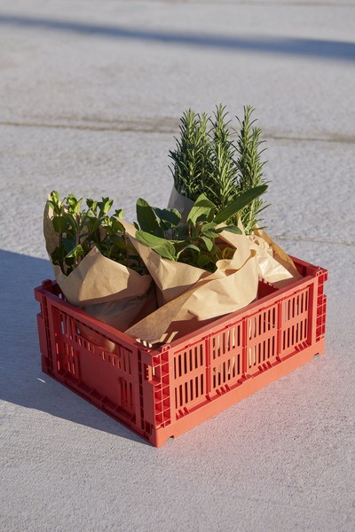 HAY - Colour Crate M - Red