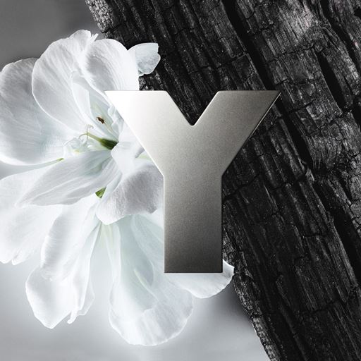 Yves Saint Laurent Y Men Deostick, 75 g