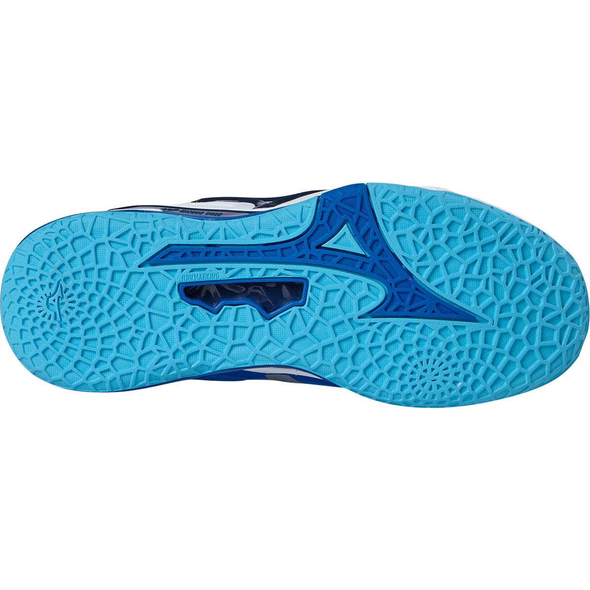 Mizuno Wave Stealth Neo 2 Håndboldsko Herre