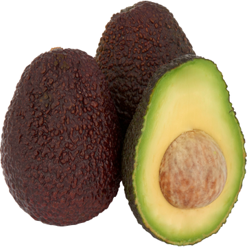 Jumbo Avocado