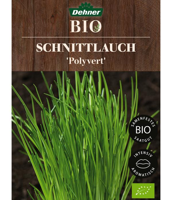 Dehner Bio-Saatgut Schnittlauch 'Polyvert'