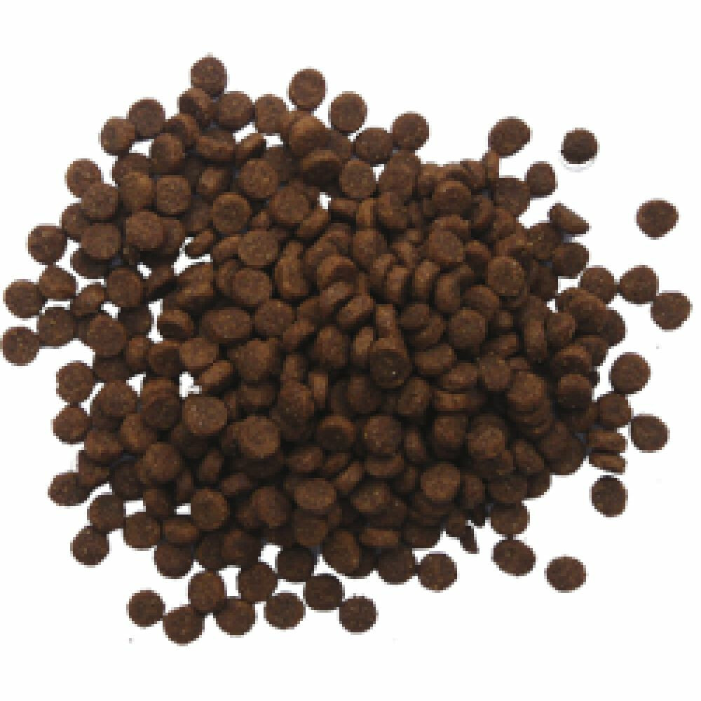 BF Petfood Puppy Hondenvoer 3 kg