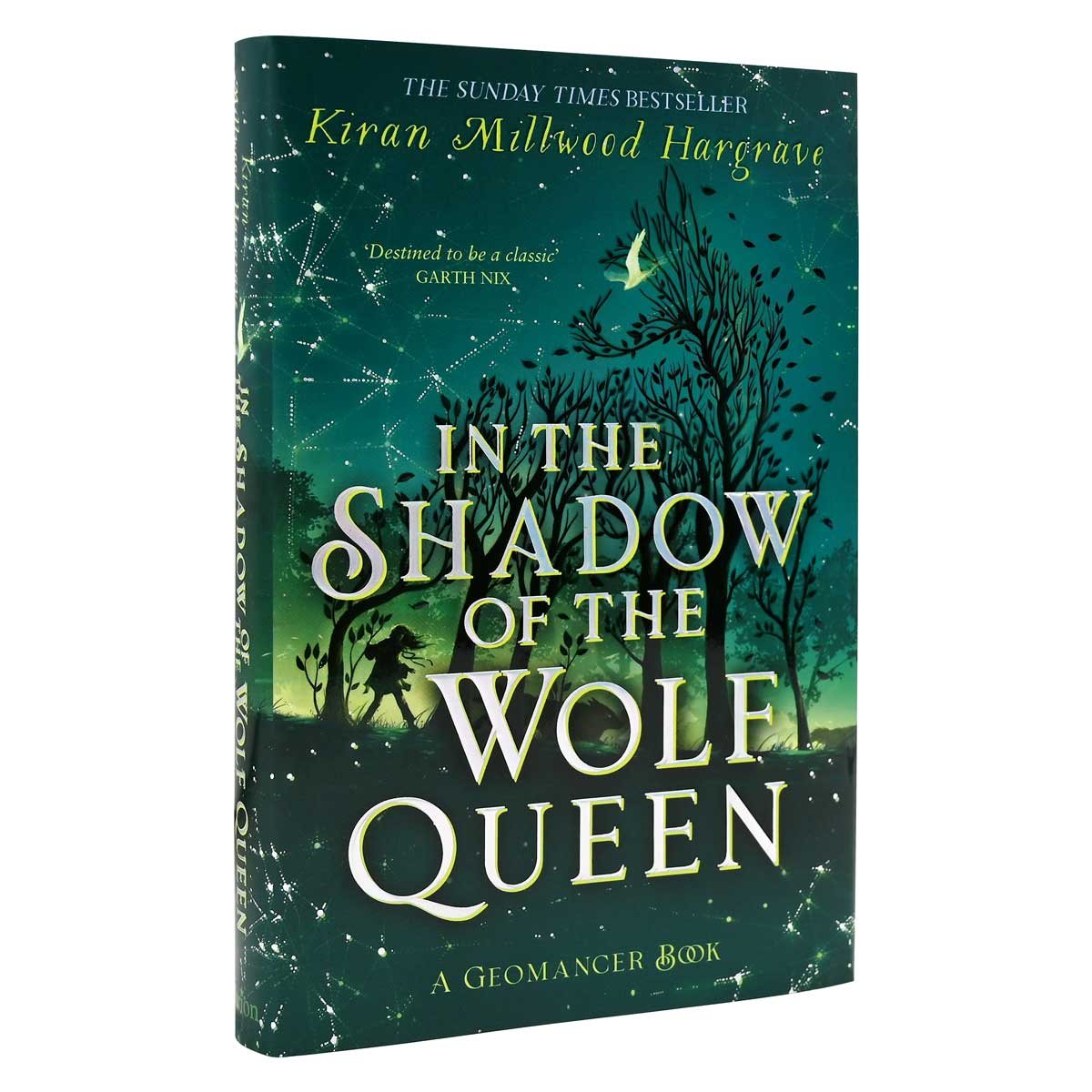 In the Shadow of the Wolf Queen: Book 1 - Geomancer (Hardback)