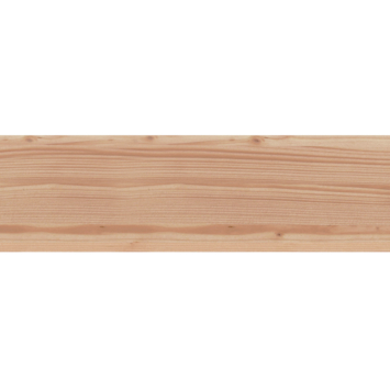 Tuinplank Douglas ca. 1,6 x 14 cm, lengte ca. 300 cm