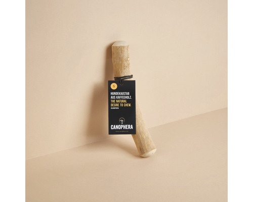 CANOPHERA hondenspeelgoed, kauwstaaf van koffiehout, maat S (ca. 18-22 cm), voor honden tot 10 kg, bruin, stressverlichtend, gebitsverzorging, verrijking