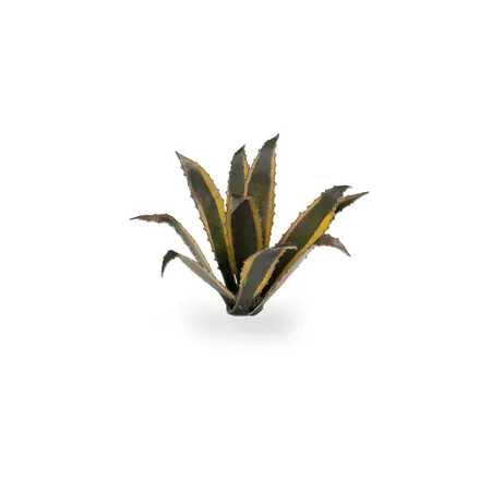 Gamer Grass Basis Gestaltung Pflanzen Agave, 70er Packung