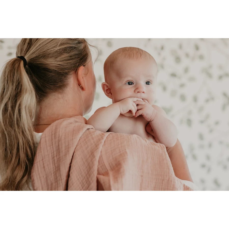 BIBS® Geschenkset Baby Shower Blush