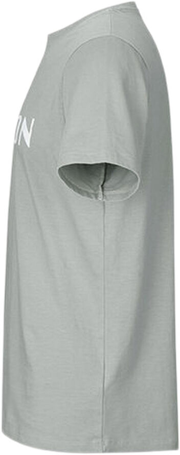 Fe226 Be Iron T-shirt Grå