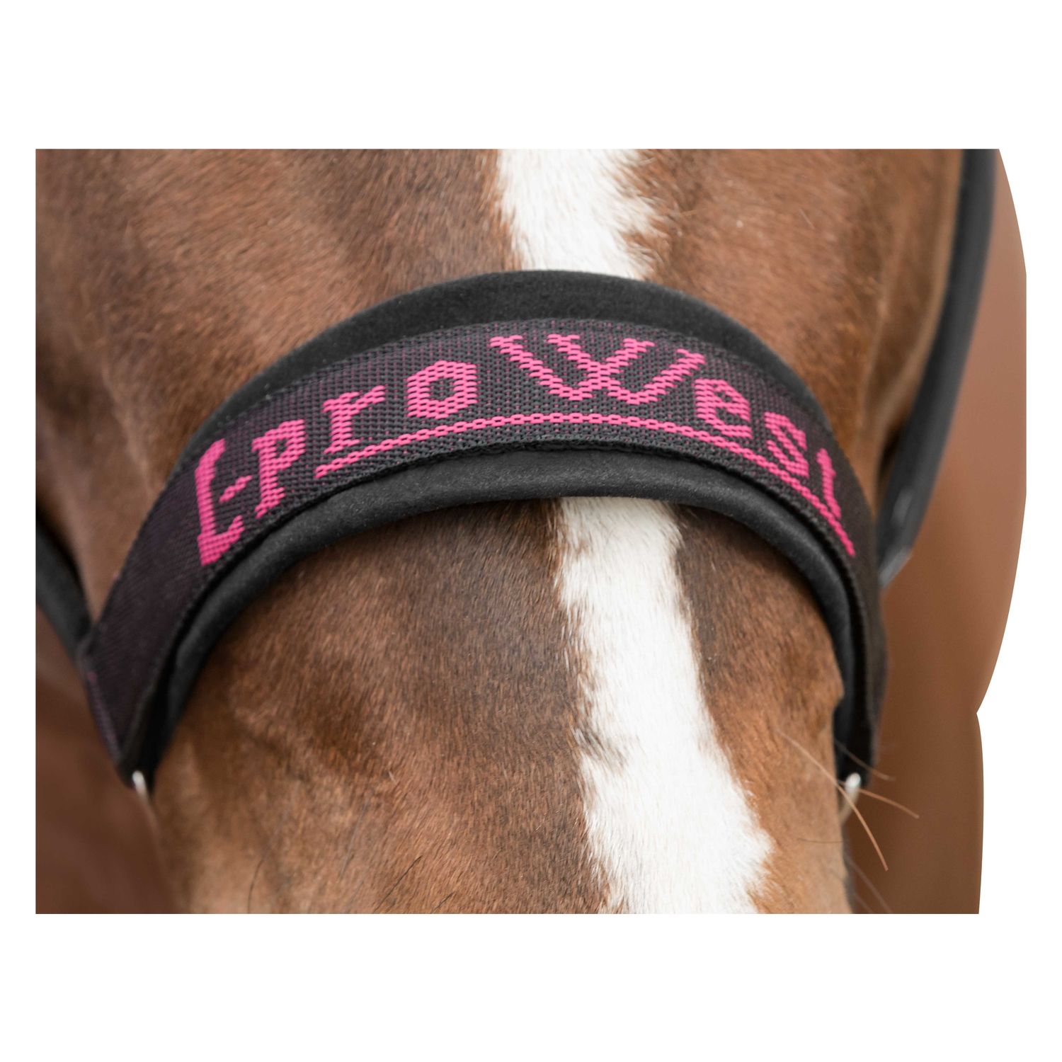 L-pro West Halfter  - black/pink - Pony