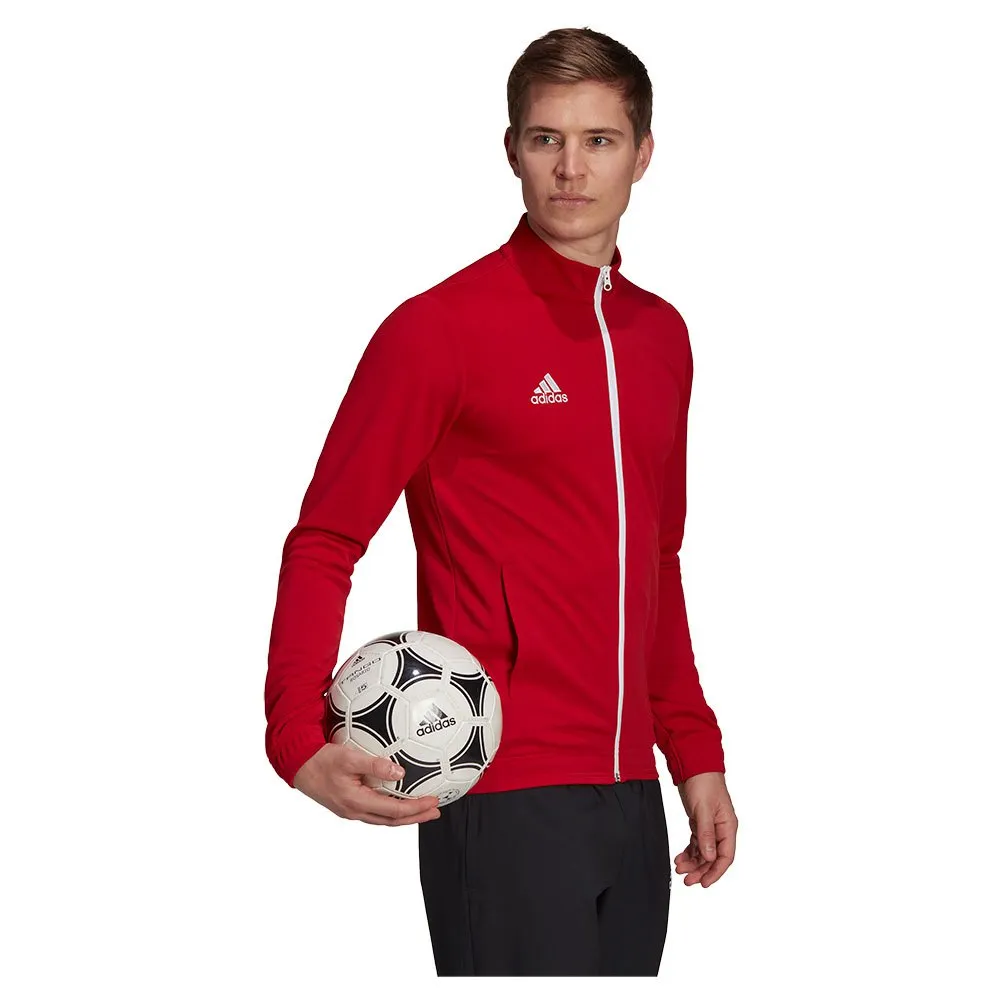 jaqueta adidas Entrada 22
