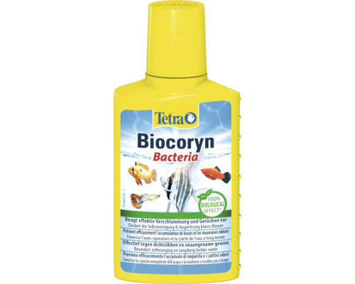 Tetra Biocoryn Bacteria Waterbehandelingsmiddel voor Aquaria: Biologische afbraak van verontreinigende stoffen, voorkomt slibvorming en geurvorming, 100 ml