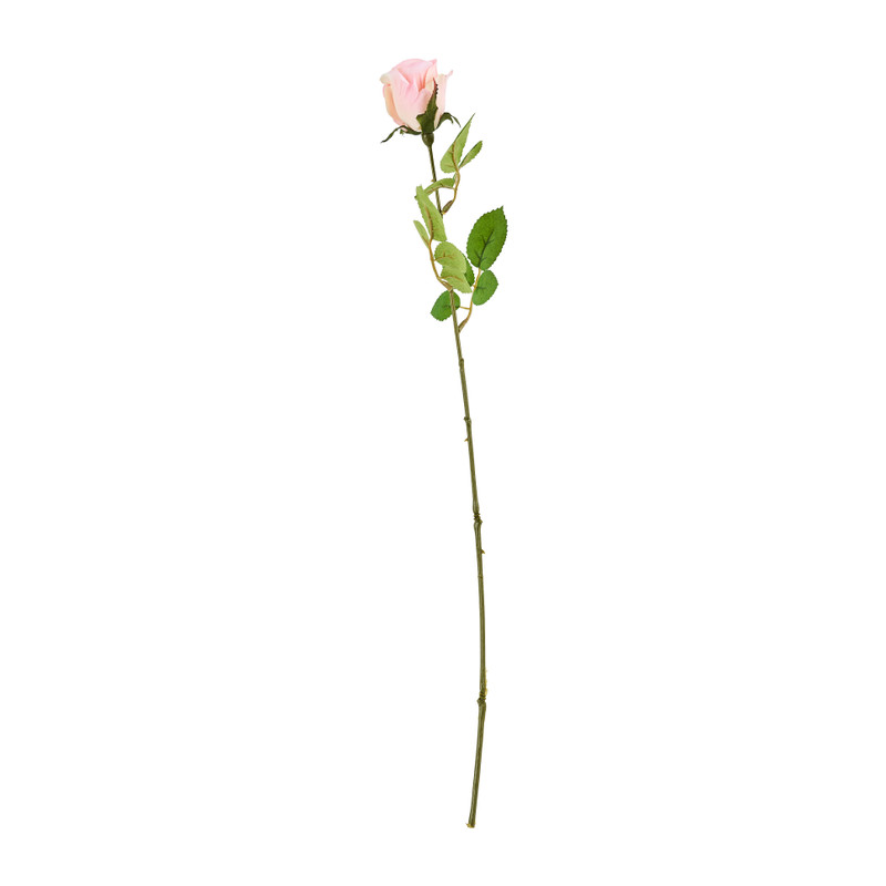 Mercedes roos - roze - 49 cm