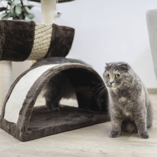 Árvore para gatos marrom de 2 níveis Kerbl