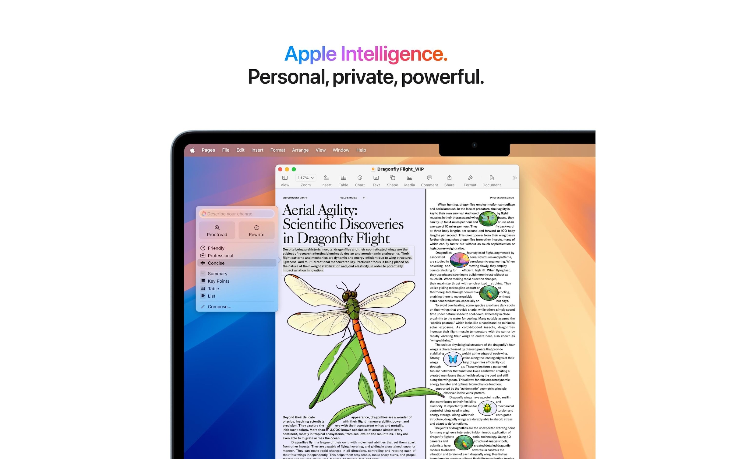 Apple Notebook »Air 13 2025 M4 10C GPU / 16 GB / 512 GB Sky Blue«