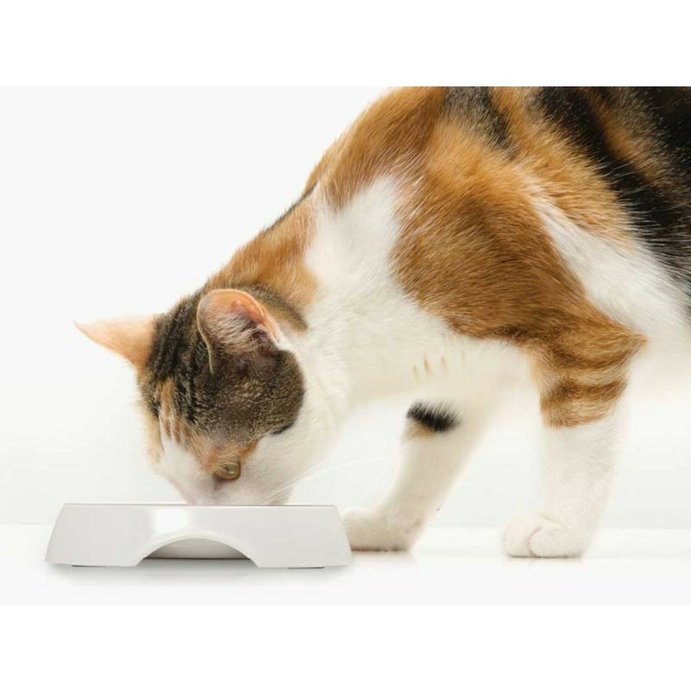 Catit double gamelle peu profonde blanc