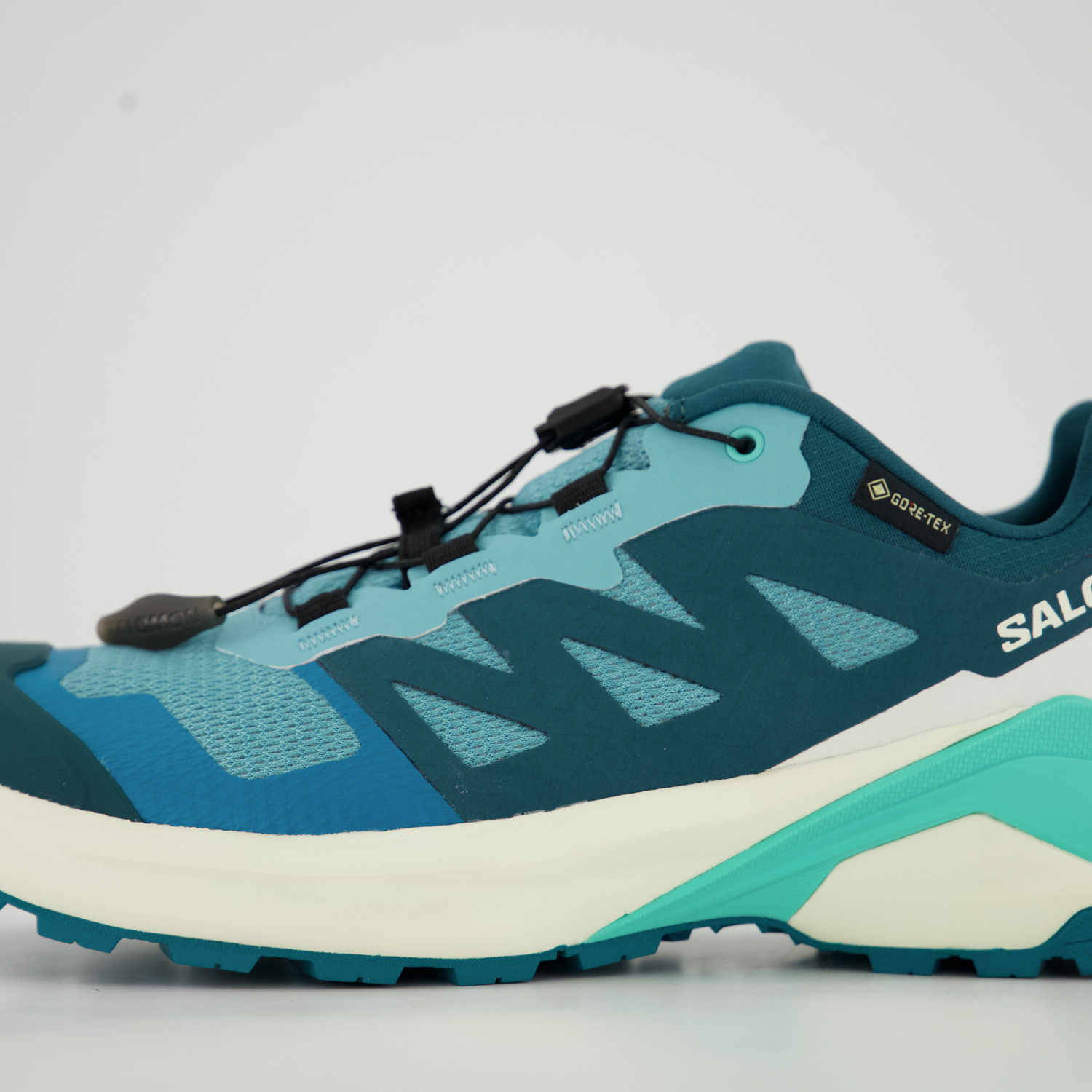Salomon X-ADVENTURE GTX W