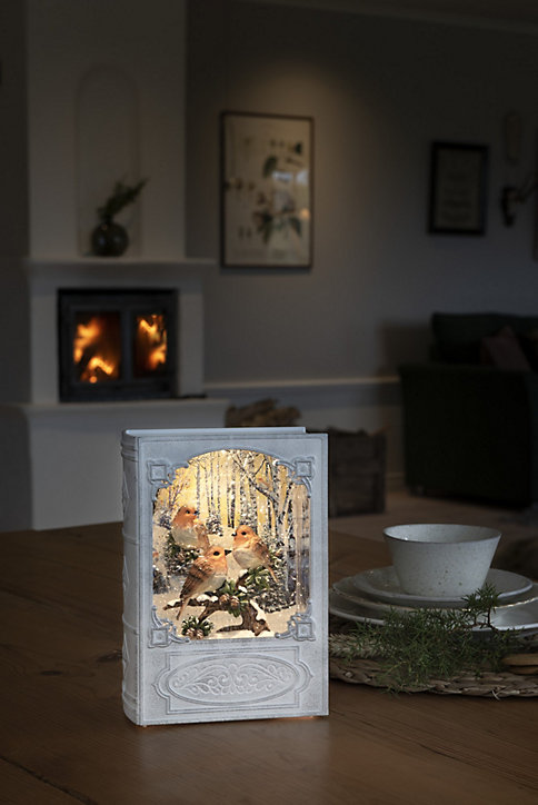 Lanterne à eau LED livre avec rouge-gorge blanc chaud interieur