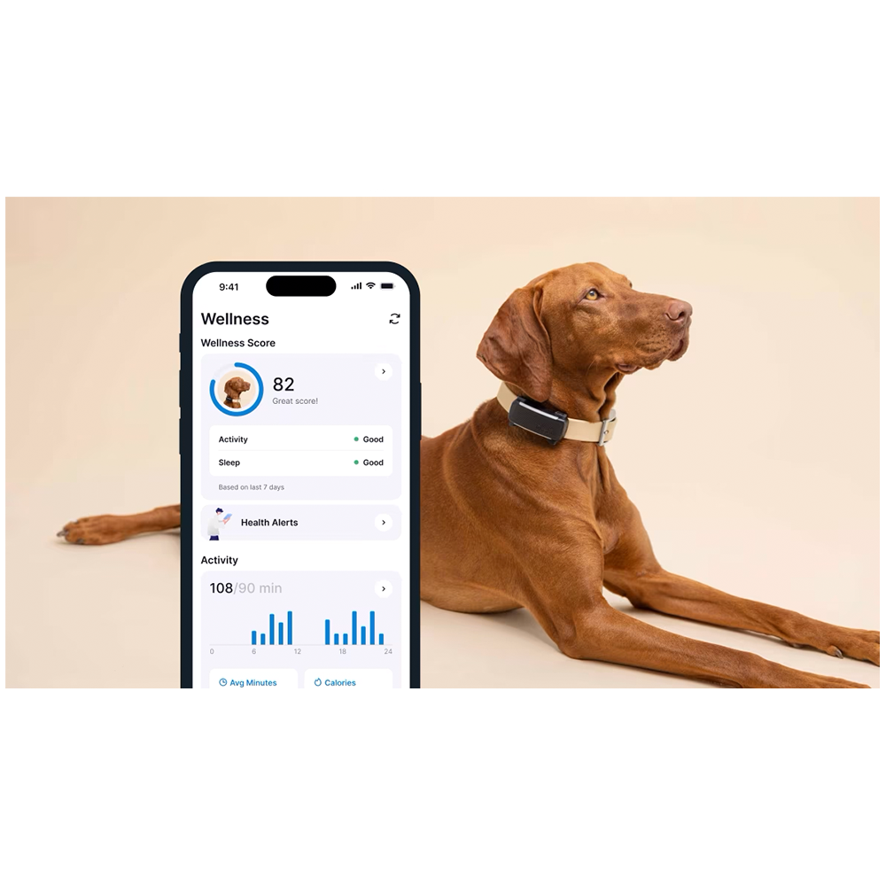 GPS DOG 6 Pet Tracker für Hunde mit Live Ortung und Aktivitäts Tracking iOS/Android (TRDOG6BK) - Schwarz