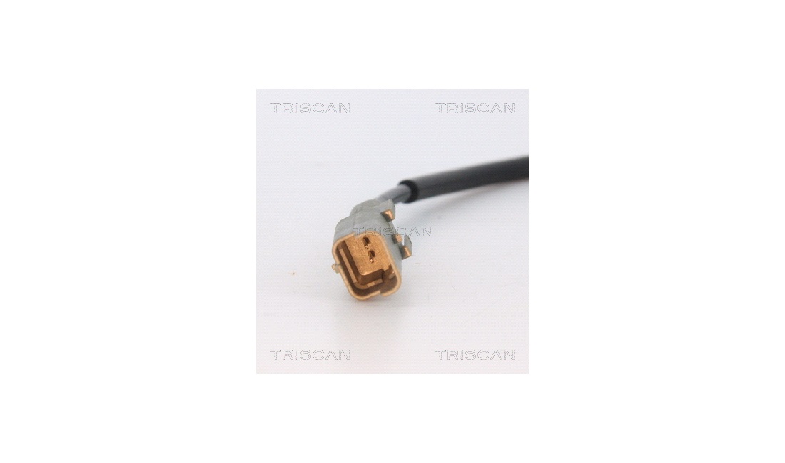 ABS sensor