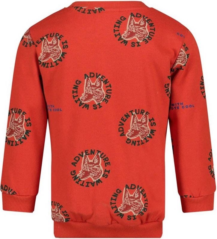 Sturdy - Sweater - 100% Katoen - Lange Mouwen - Ronde Hals