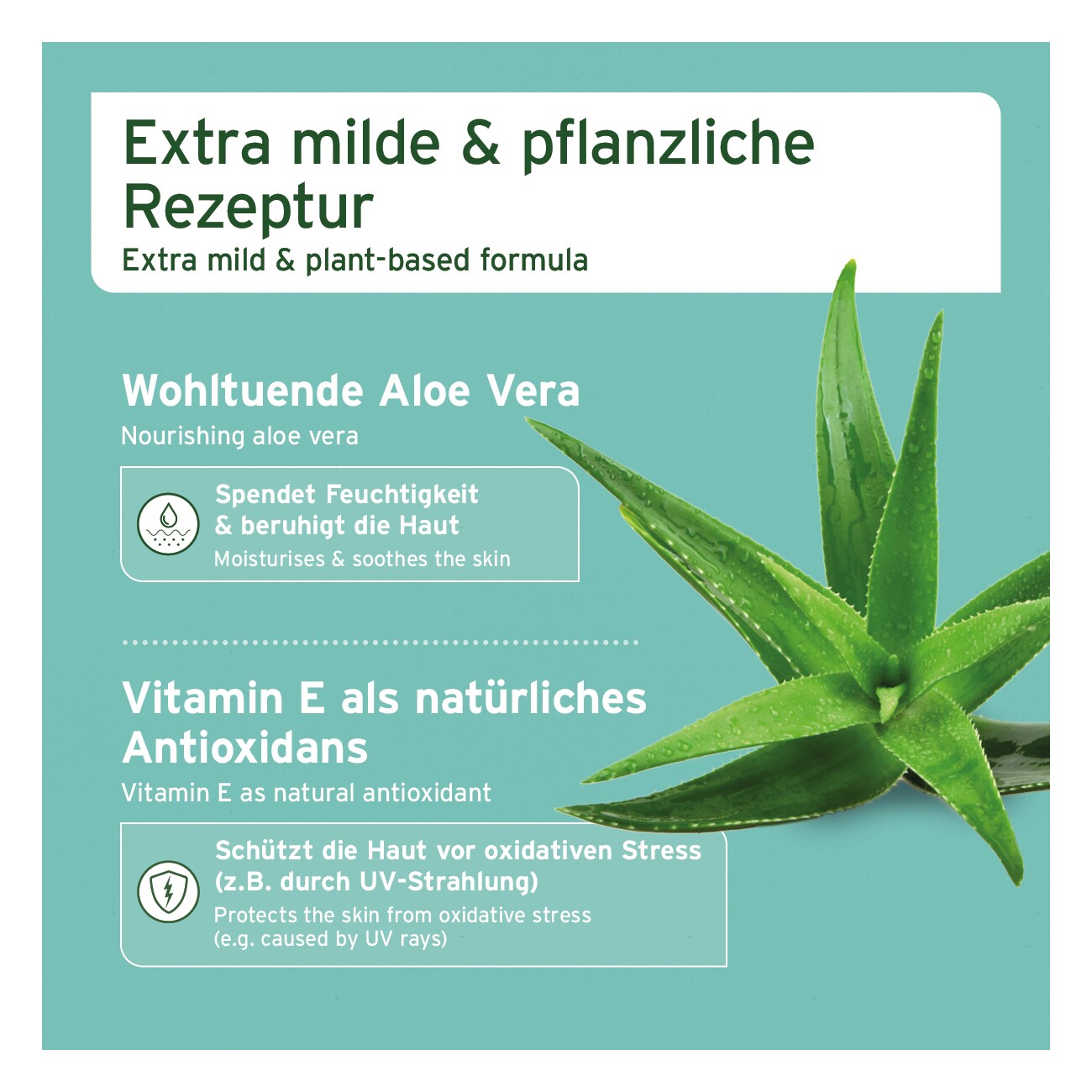 AniForte Augen-Reinigungspads Augenpflege Pads 100 Stück