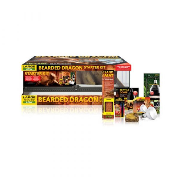Exo Terra Kit de Iniciação Terrários Dragão Barbudo