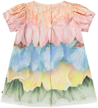 Molo Kleid - Kiste - Petal Rainbow