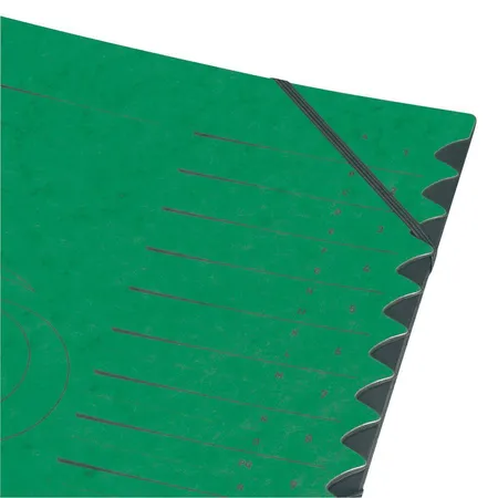 Herlitz Ordnungsmappe 1-12 grün Pappe