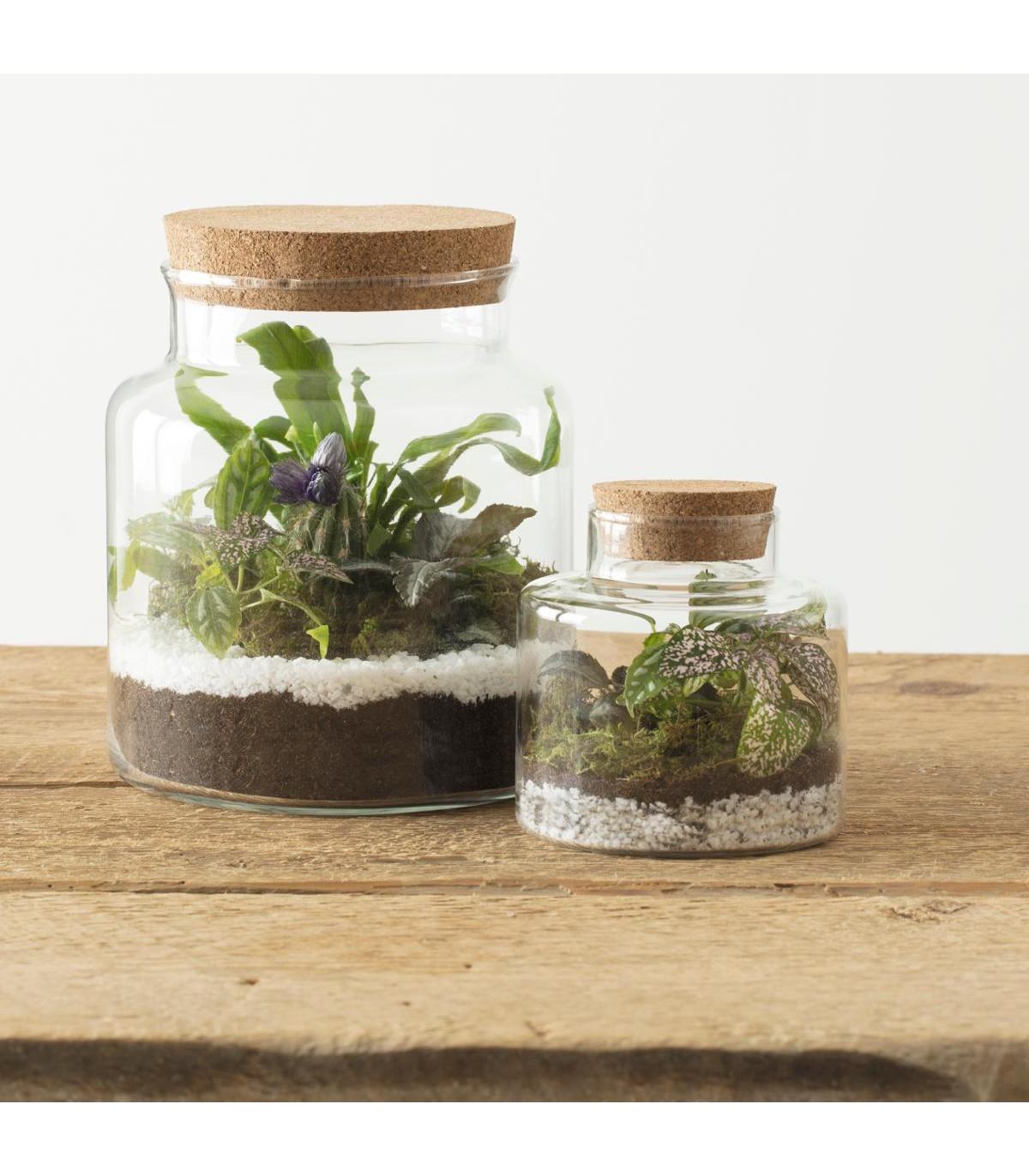 TERRARIUM H.21.5CM
