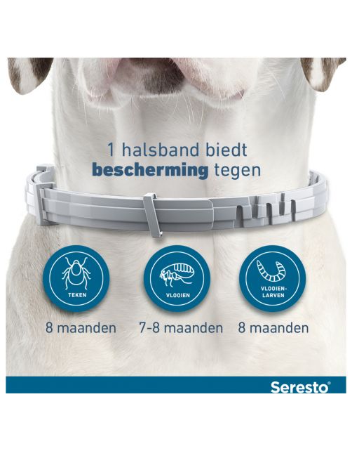 Seresto Teken- En Vlooienband Small - Anti tekenmiddel