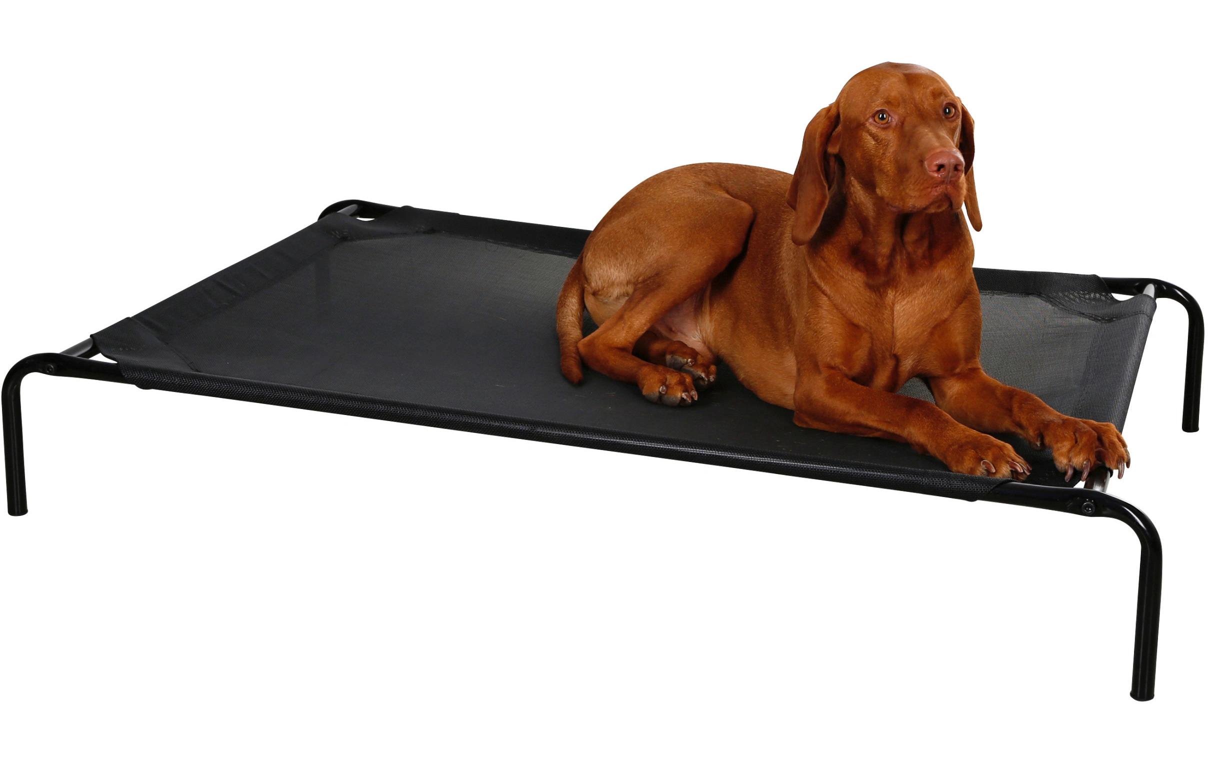 Hundeliege Vacation 130 cm x 80 cm x 20 cmErhöhtes Hundebett mit robustem und wetterbeständigem Metallgestell