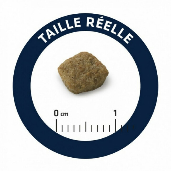 Croquettes Advance Senior Mini Vitality 8+ pour chiens